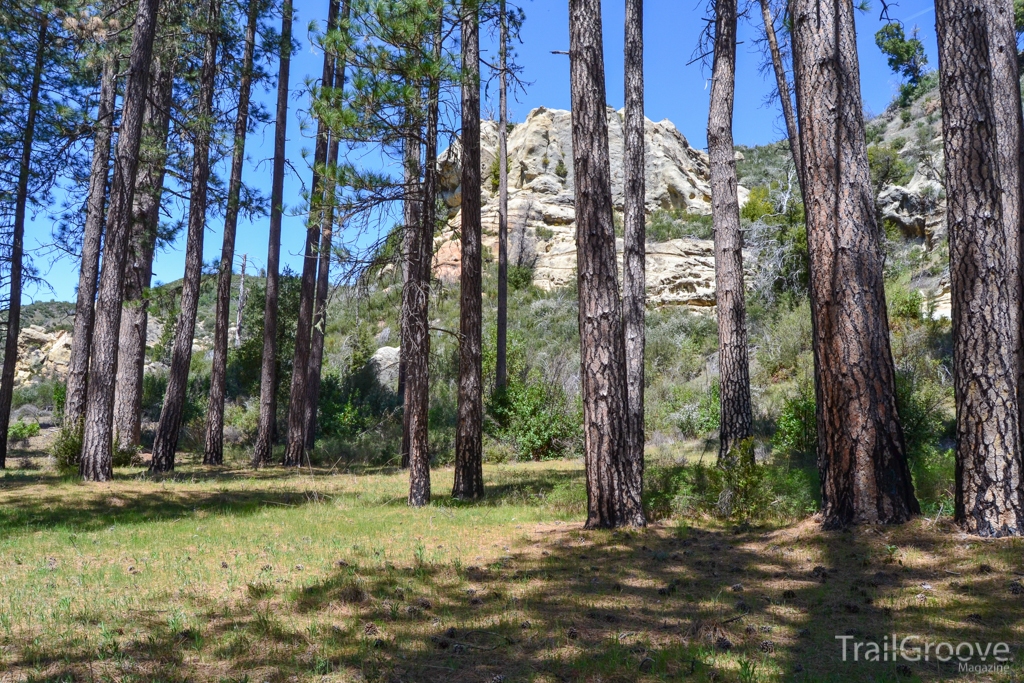 Ventana Wilderness Campsite