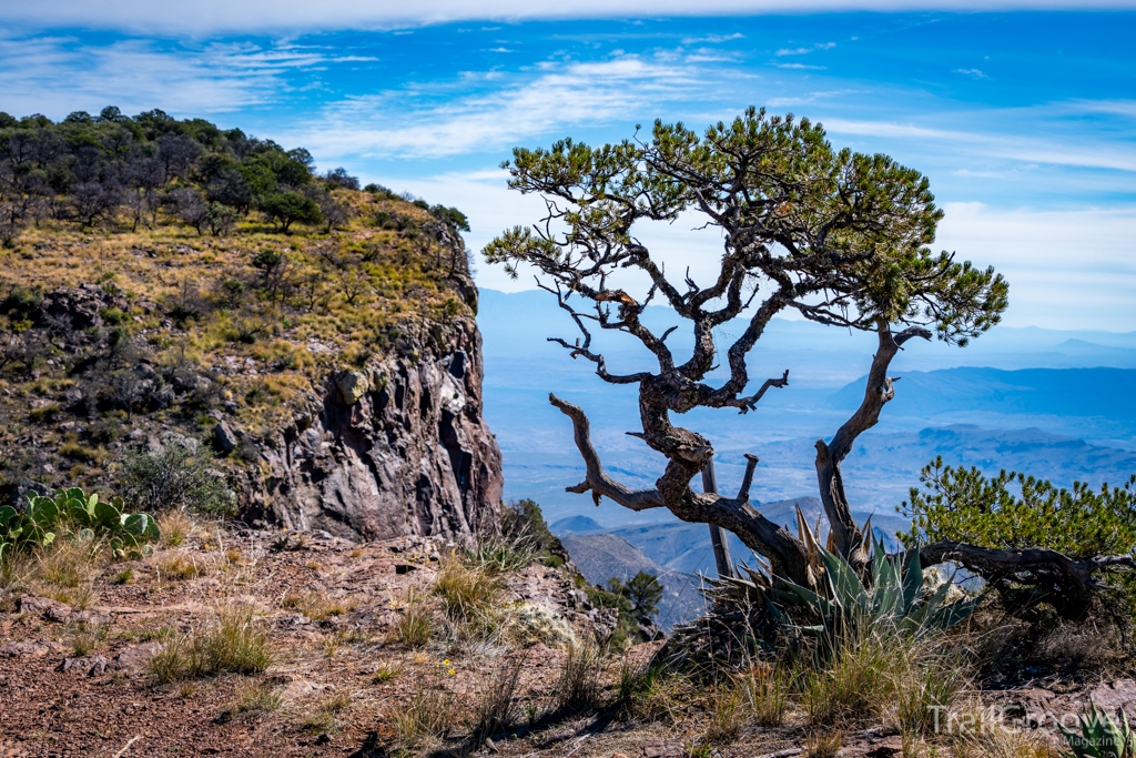 A Trip to Big Bend - Scenery from the Trail