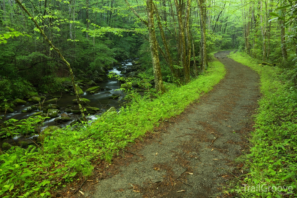 Tremont Loop in Great Smoky Mountains National Park