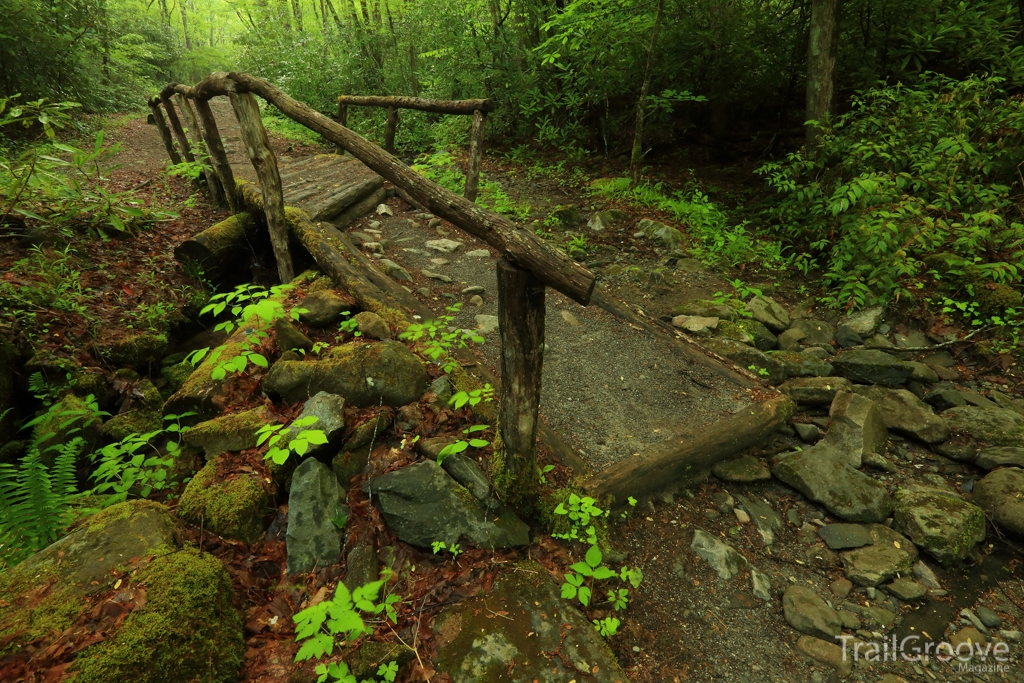 Footbridge on the Middle Prong Trail - Smoky Mountains