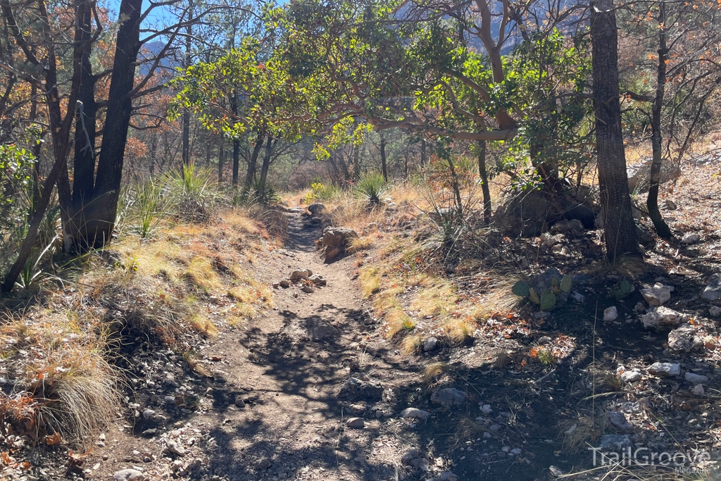 Guadalupe Mountains Hiking Trail