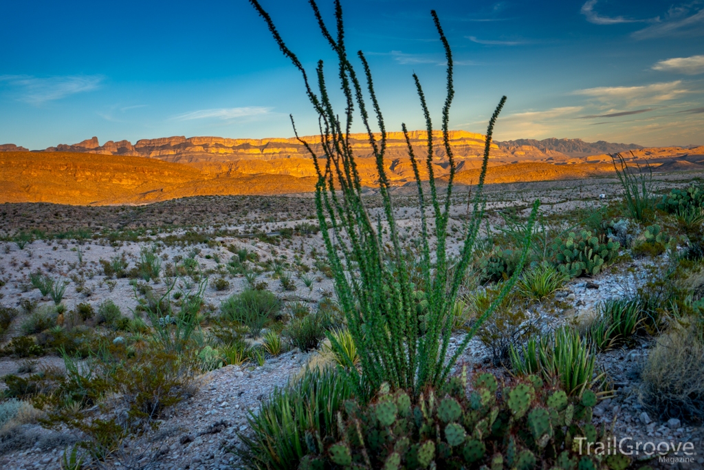 Hiking in Big Bend National Park