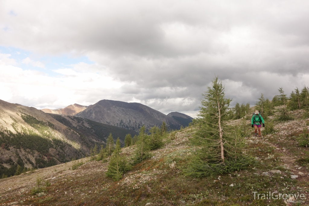 Hiking Trail in the Anaconda-Pintler Wilderness