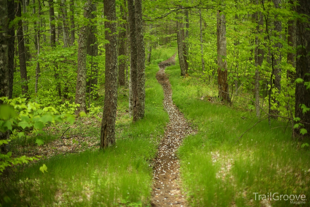 Hiking the Tremont Loop in Great Smoky Mountains National Park