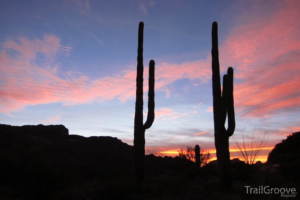 Hiking in Organ Pipe Cactus National Monument