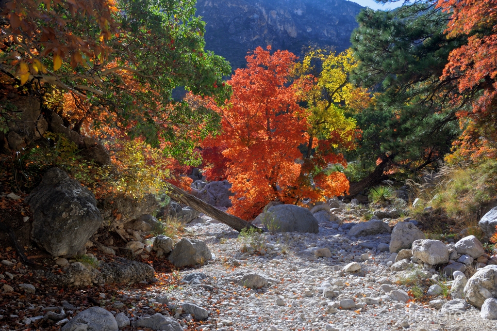 Along Devil's Hall Trail in Guadalupe Mountains National Park