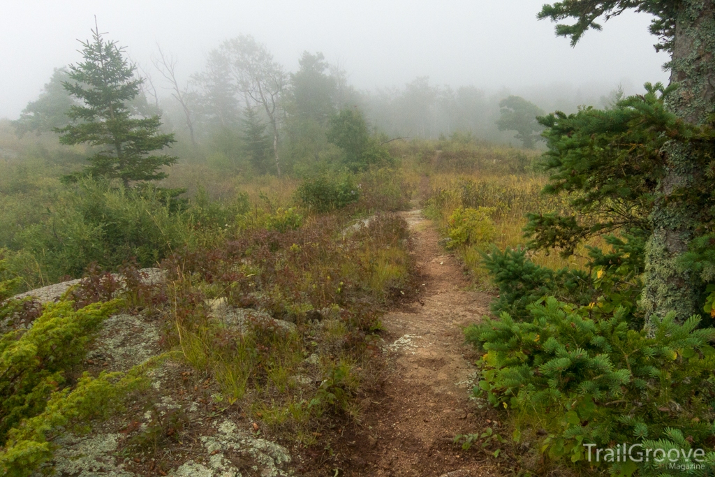 Greenstone Ridge Hiking Trail - Isle Royale