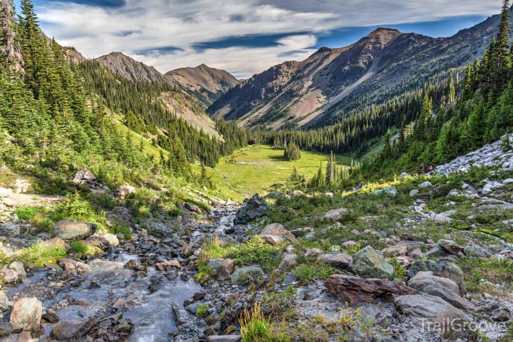 Royal Basin Meadows - Olympic National Park