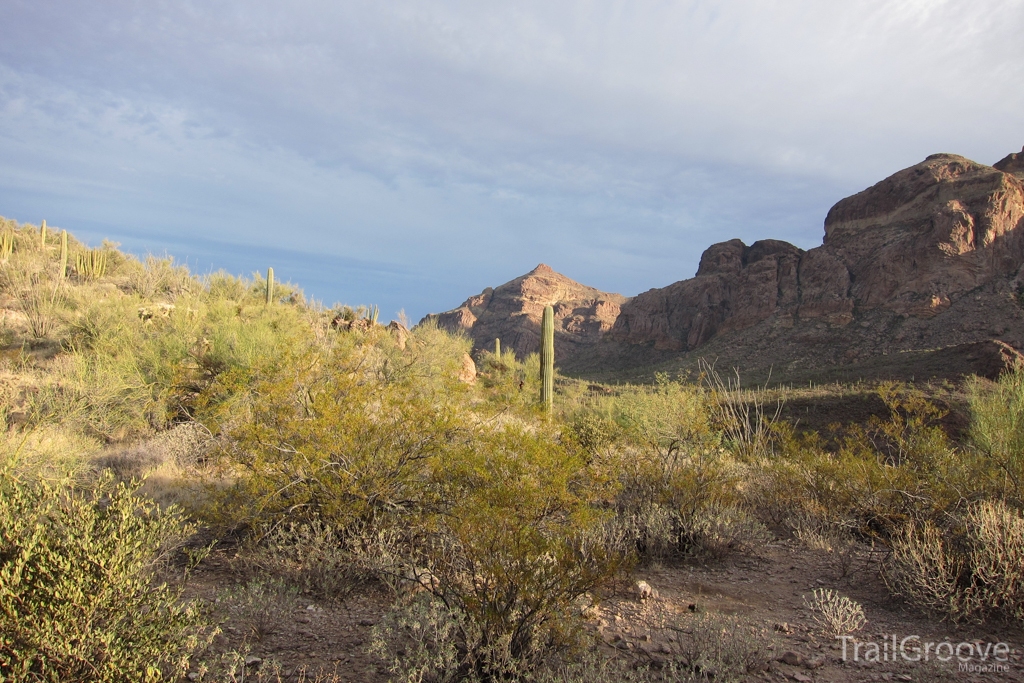 Ajo Mountains View - Hiking in Organ Pipe Cactus National Monument