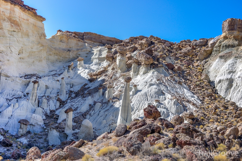 Wahweap Hoodoos - Cove of Hoodoos