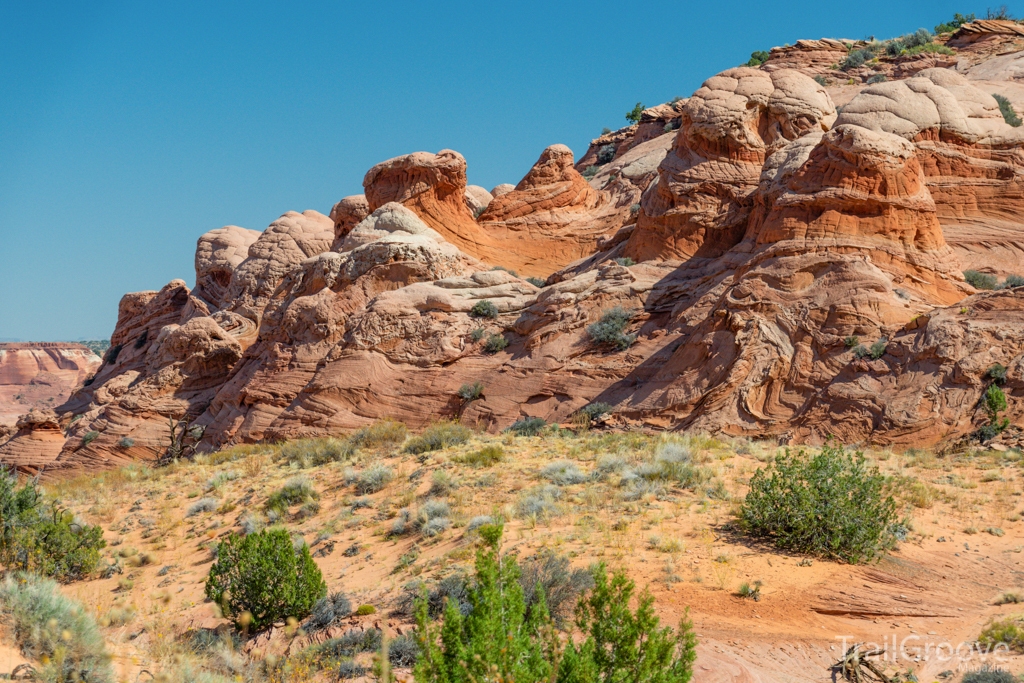 Paria Puppets in Arizona's Vermilion Cliffs National Monument