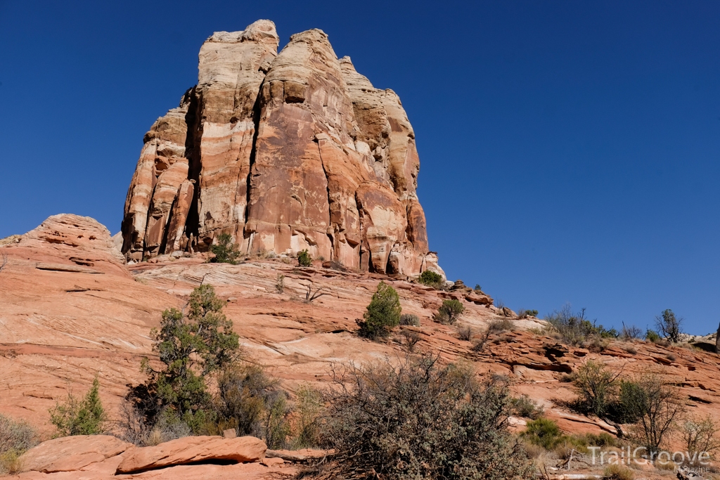 Along the Lower Calf Creek Falls Trail