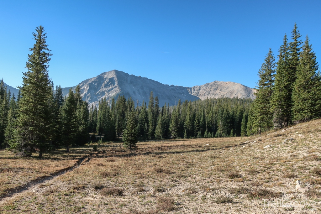 Hiking Trail in the Pioneer Mountains