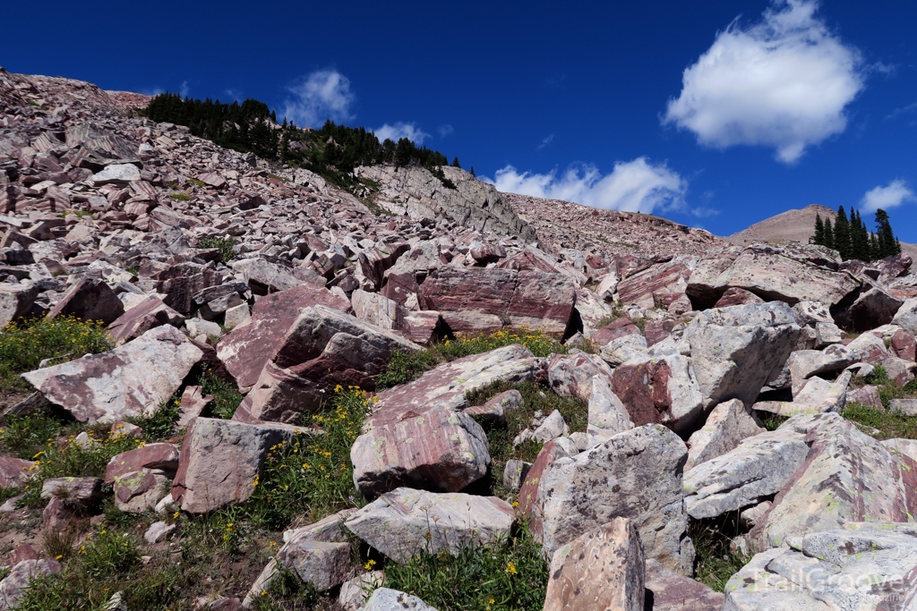 Boulder Field in the Henrys Lake Mountains