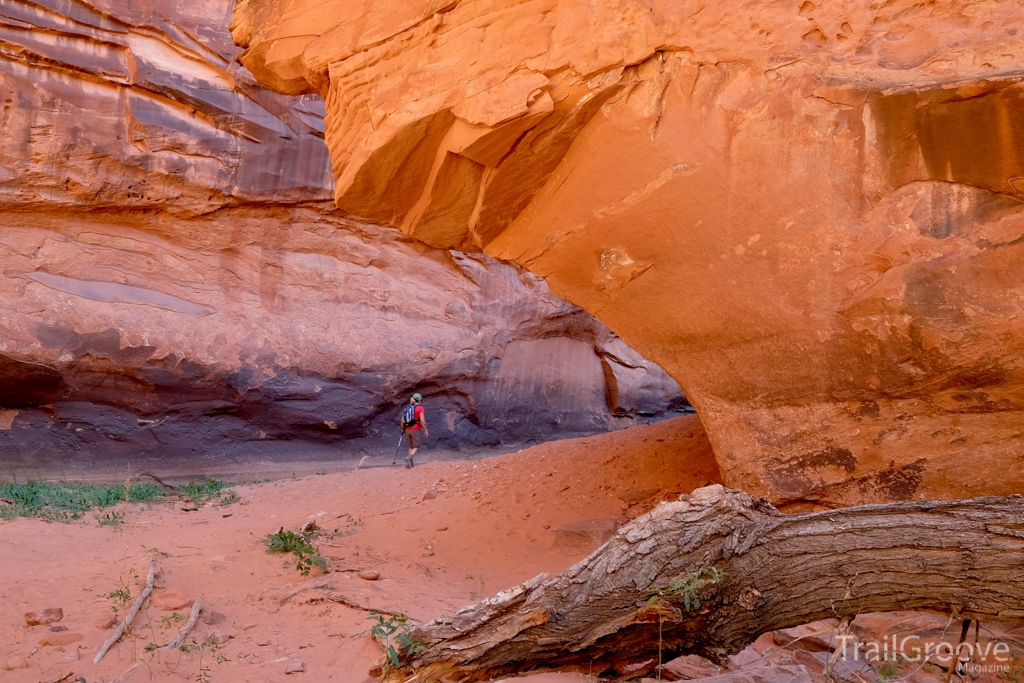 Colors and Canyons of the Escalante