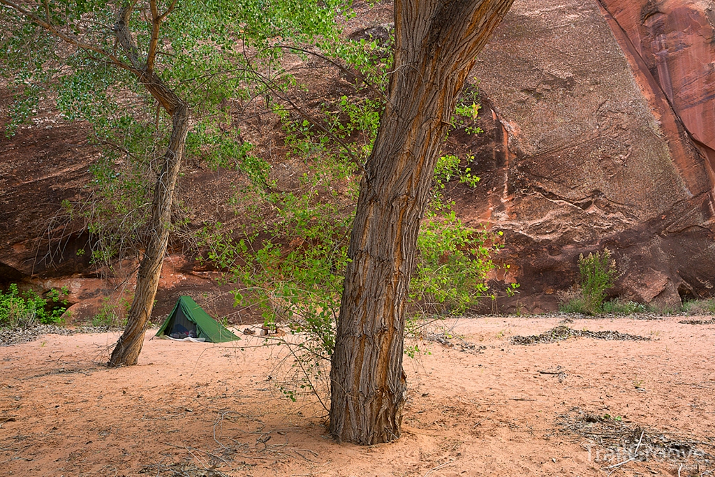 Cottonwood Camp - Hiking Coyote Gulch Utah