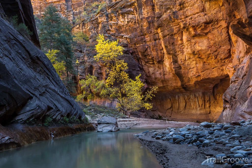 Photographing Zion National Park - Around the Bend