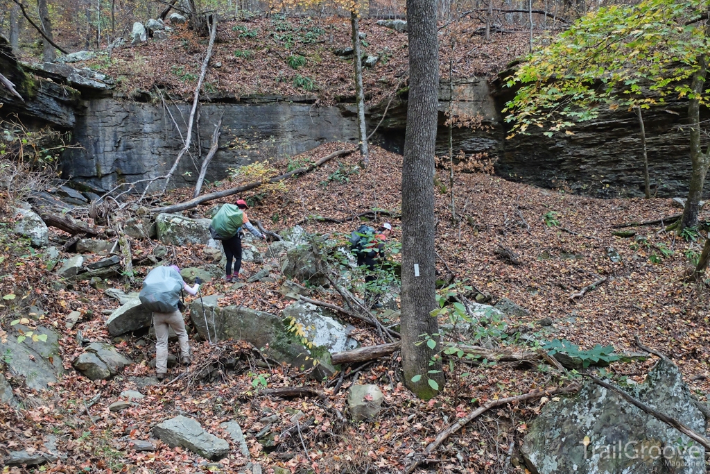 Along the Trail - Ozark National Forest Ozark Highlands Trail