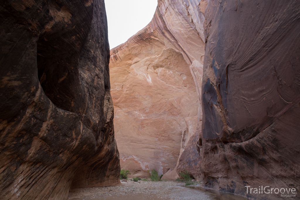 Muley Twist Canyon Hike Capitol Reef