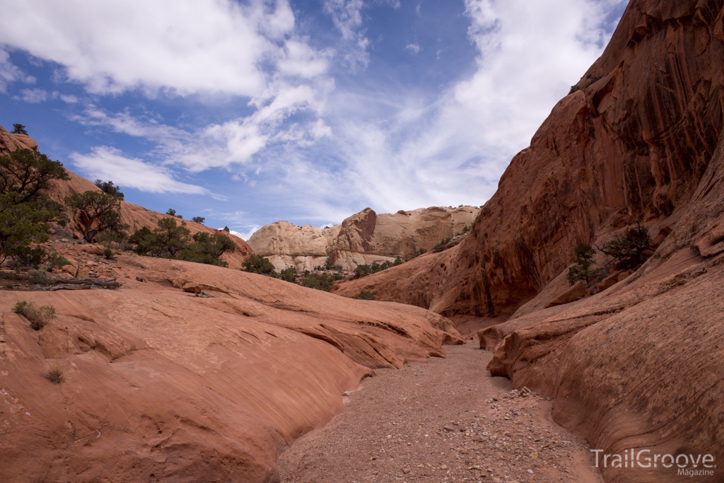 Along the Backpacking Route in Capitol Reef