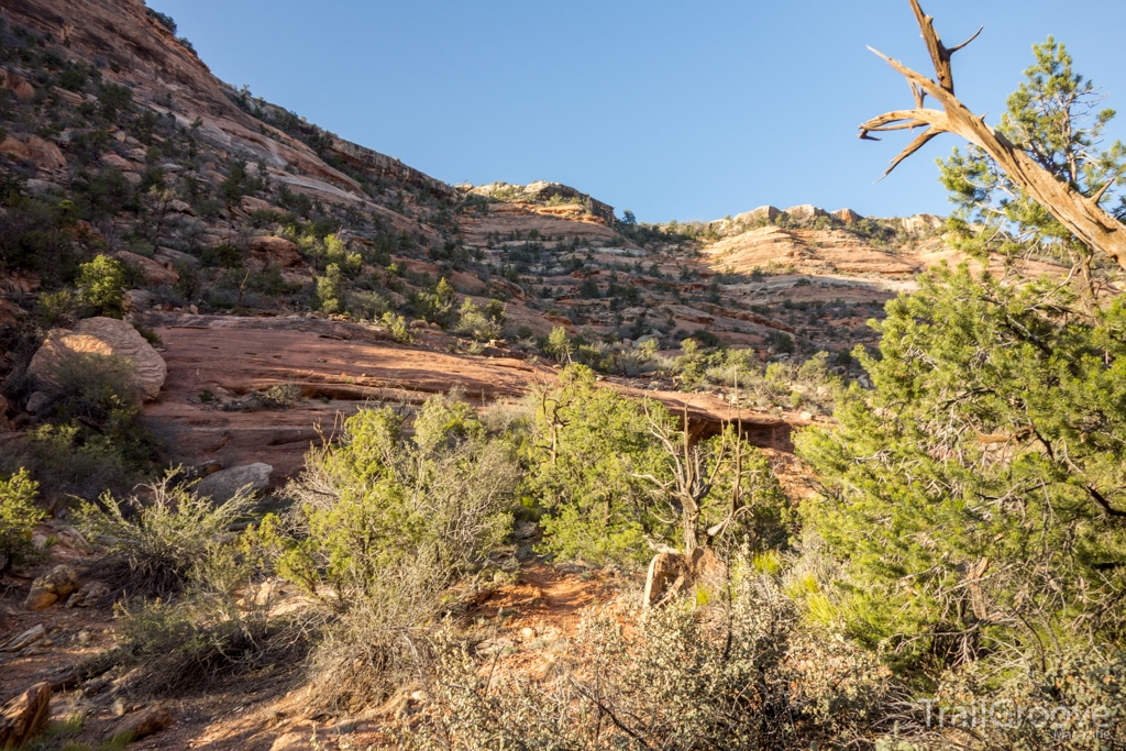 Fish Owl Creek Canyon Hike