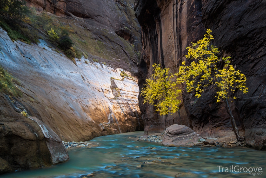 Mystery Falls in the Zion Narrows