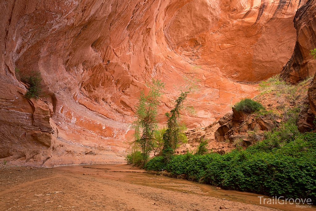 Coyote Gulch Alcove