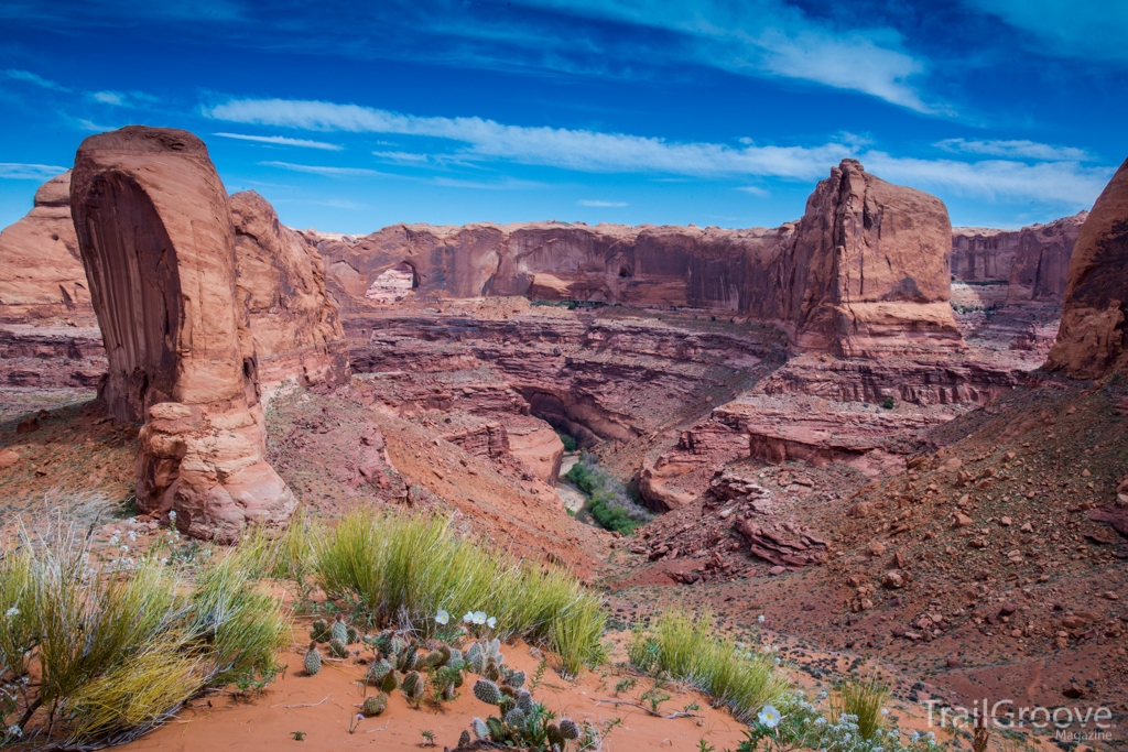 Coyote Gulch and Stevens Arch Hike