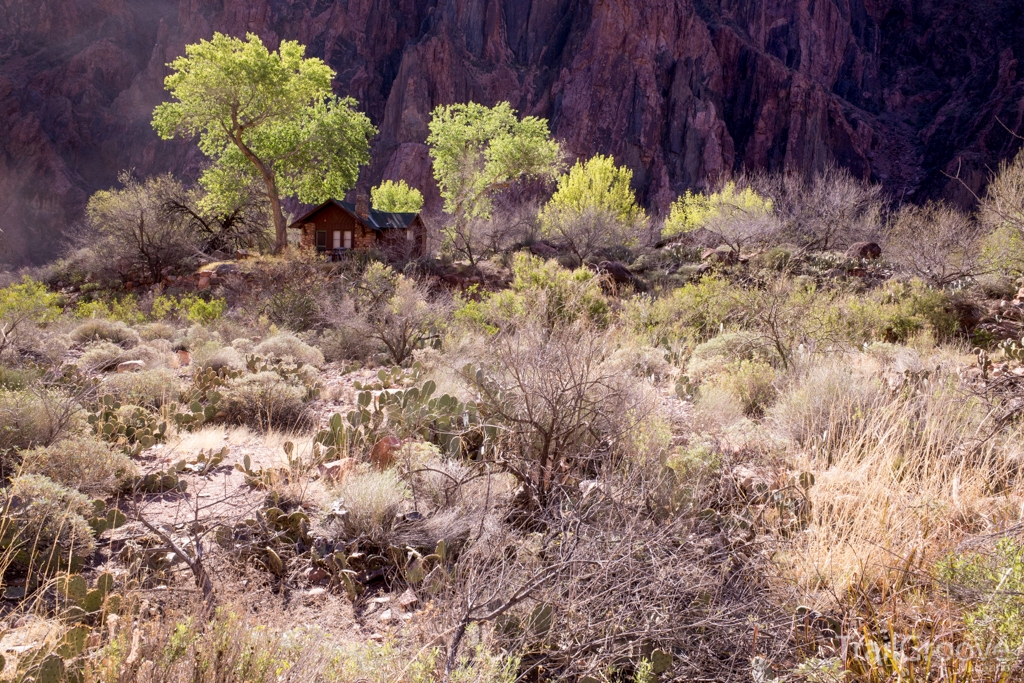 Abandoned Cabin in the Grand Canyon