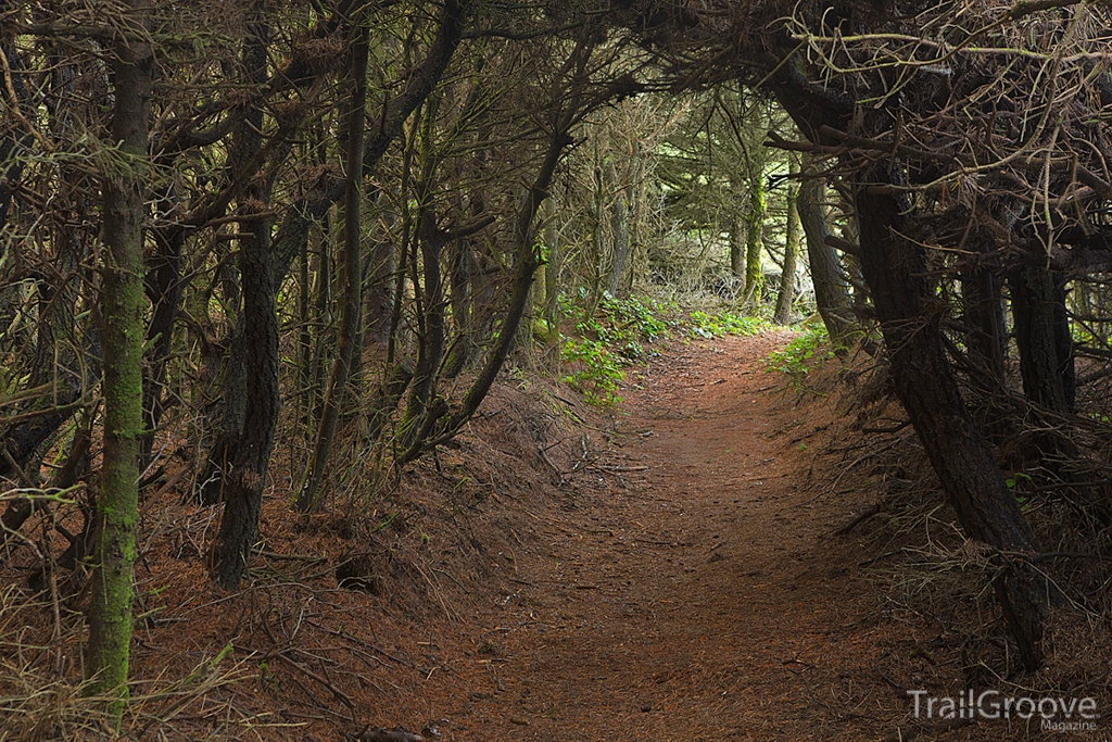 Backpacking the Oregon Coast Trail