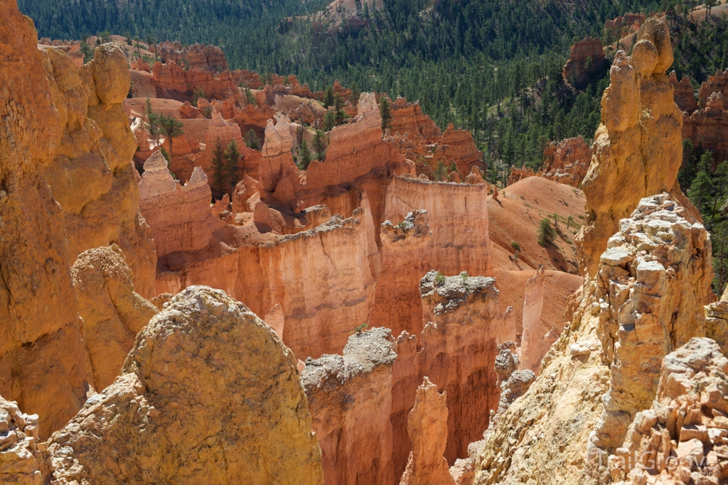 Hoodoos in Bryce Canyon National Park