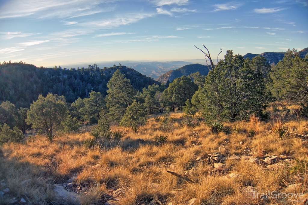 Morning in the Guadalupe Mountains