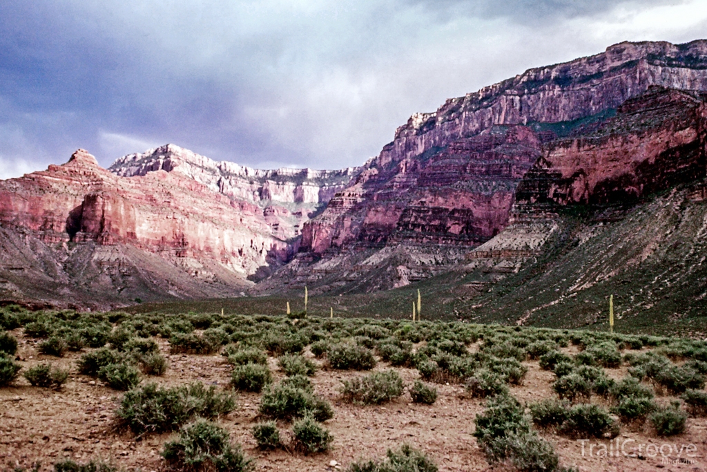 Grand Canyon Scenery