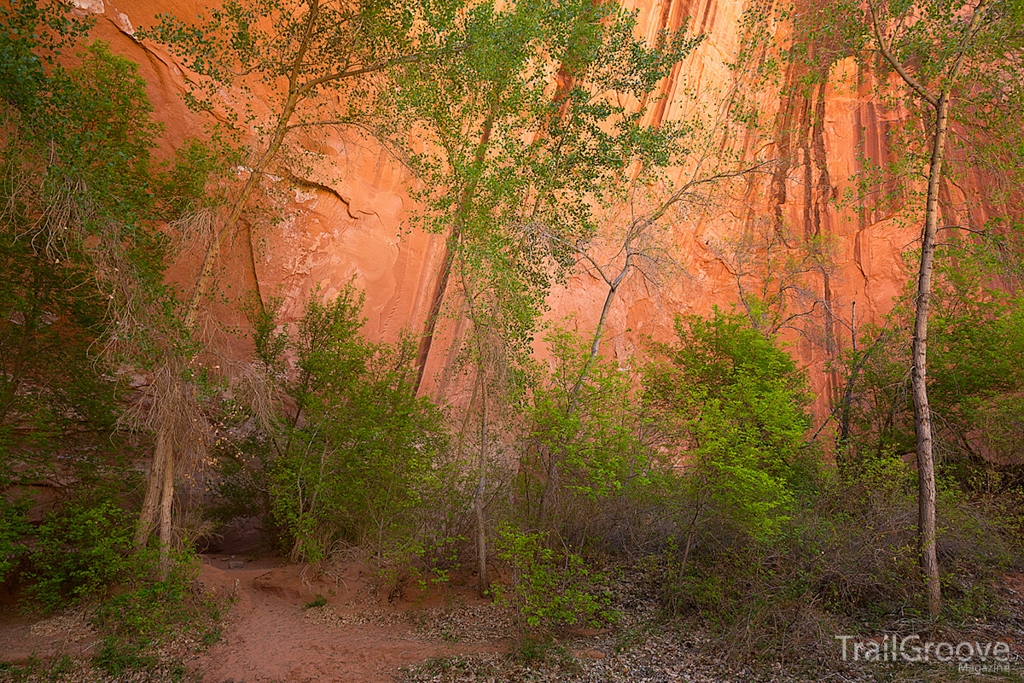 Hurricane Wash Trail Coyote Gulch