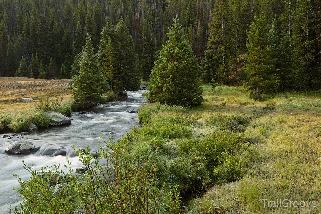 Bighorn Mountains Stream Crossing