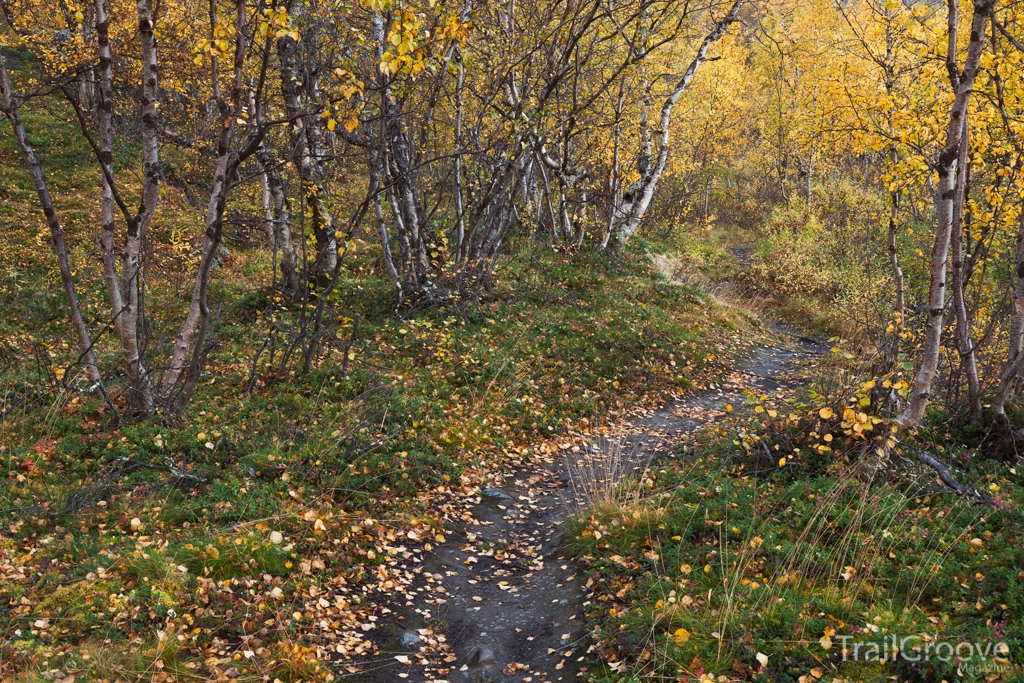 Kungsleden Trail