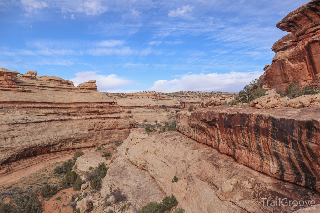 Bears Ears View