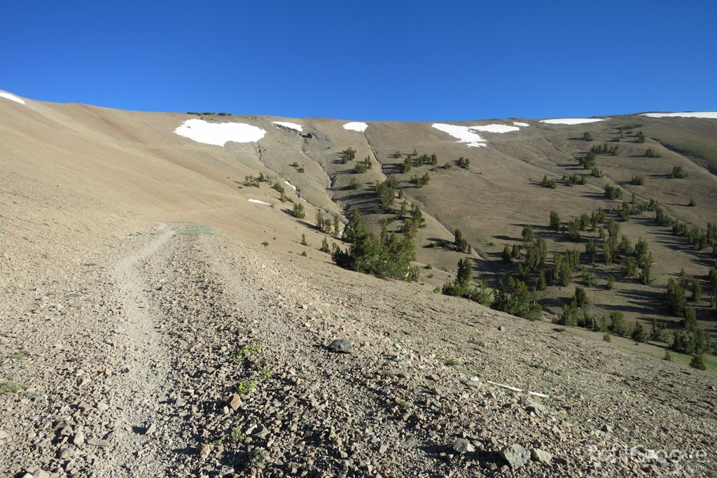 Section Hiking the Pacific Crest Trail