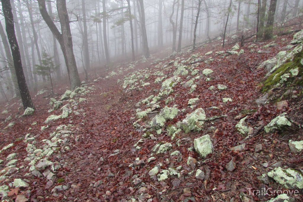 Along the Ouachita Trail