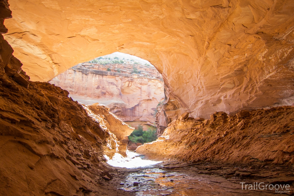 Black Ridge Canyons Wilderness Alcove