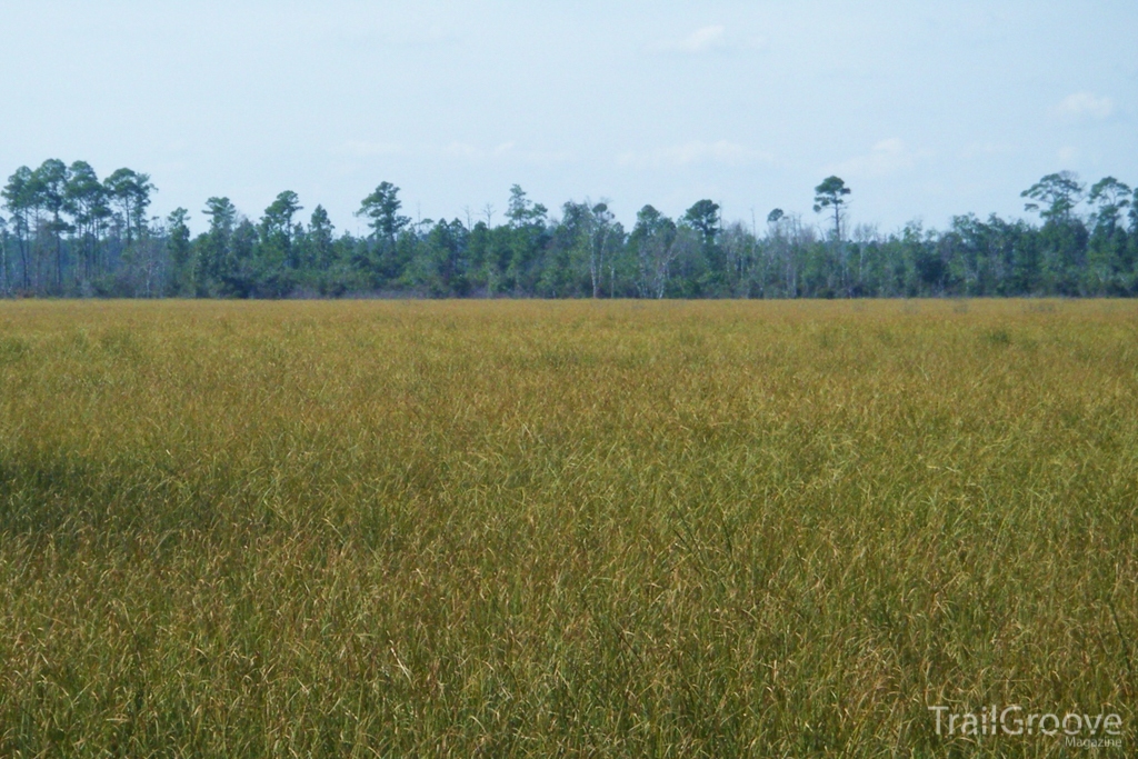 Florida Trail