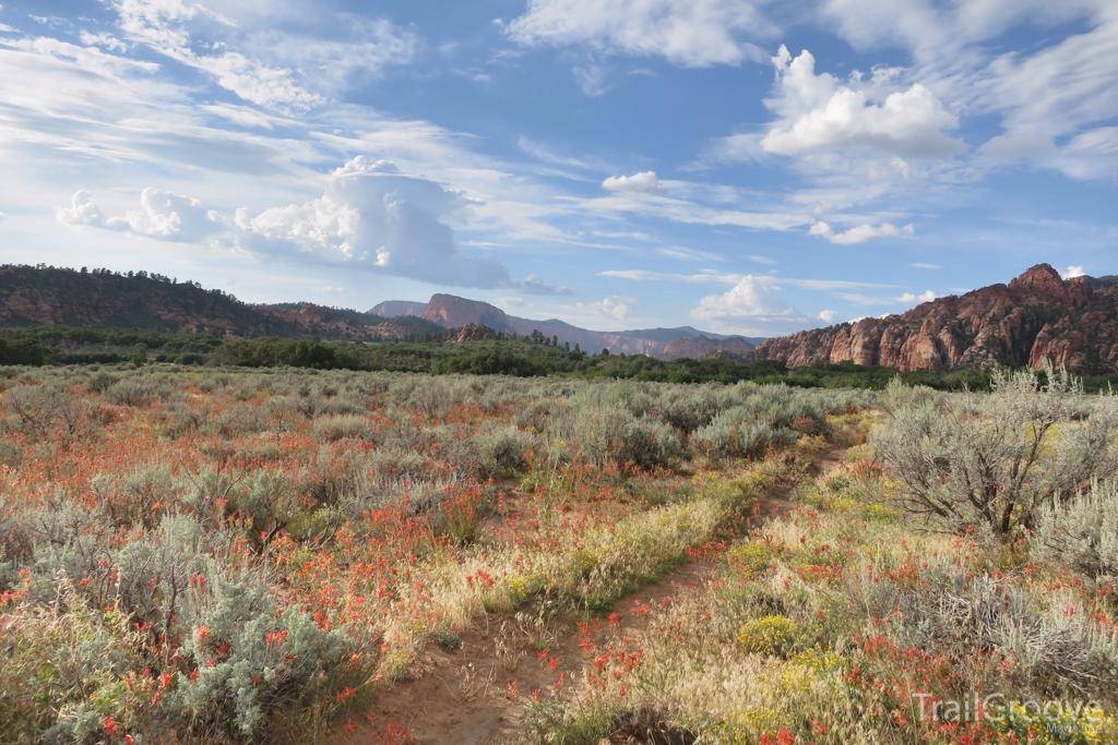 Backpacking & Hiking Across Zion National Park