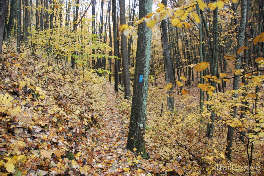 North Country Trail - Manistee River Trail Hiking Loop