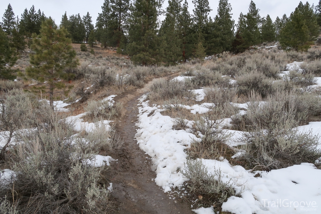 Tips for Hiking in Mud Season