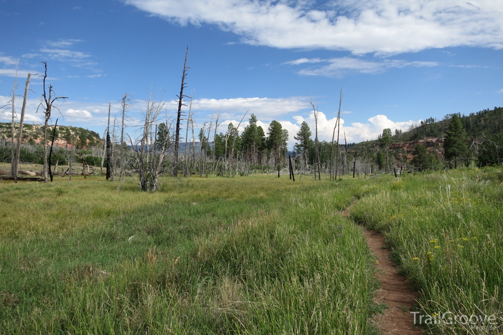 Zion Backpacking Traverse