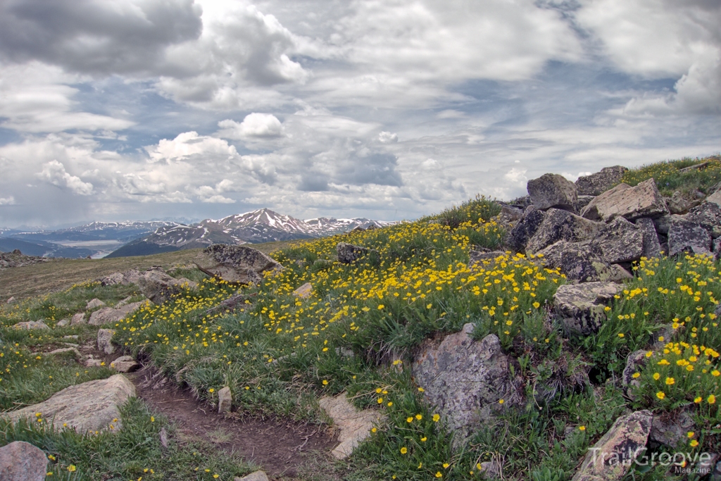 Colorado Trail