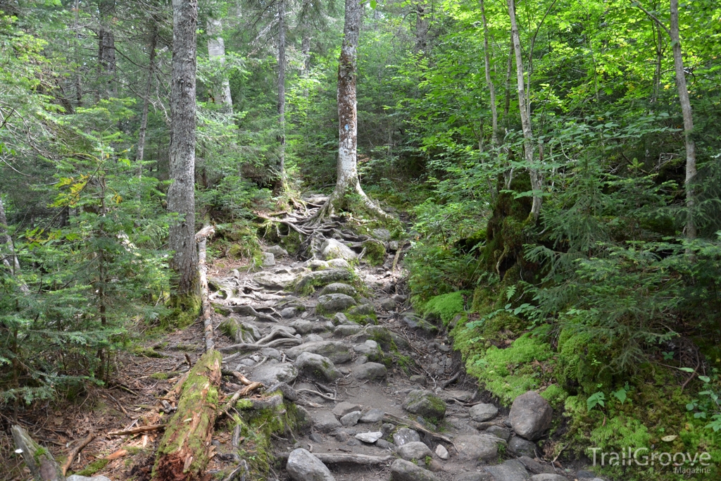 Mount Monroe Hiking Trail