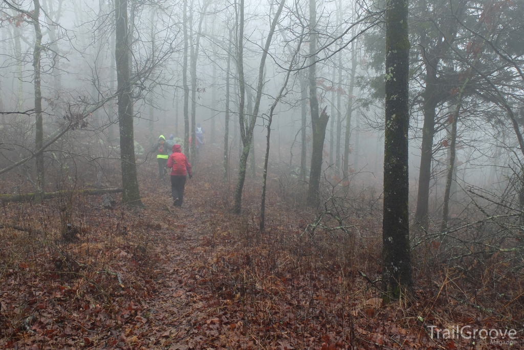 The Lost Girls return to the trail on a foggy February morning.