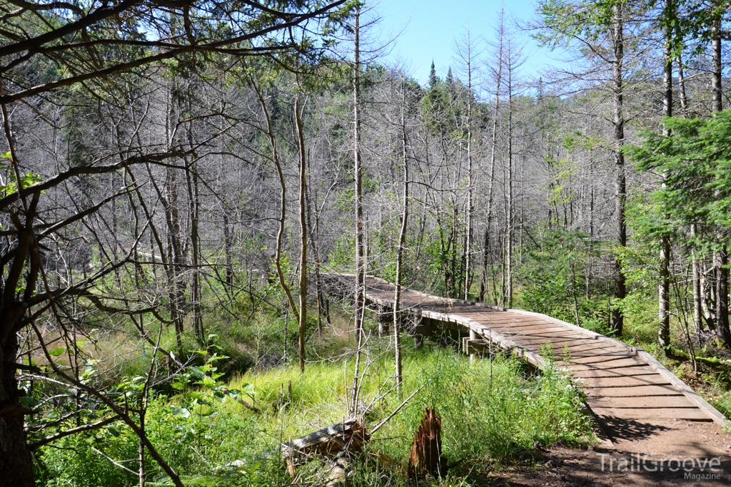 Hiking Trail to Algonquin Peak