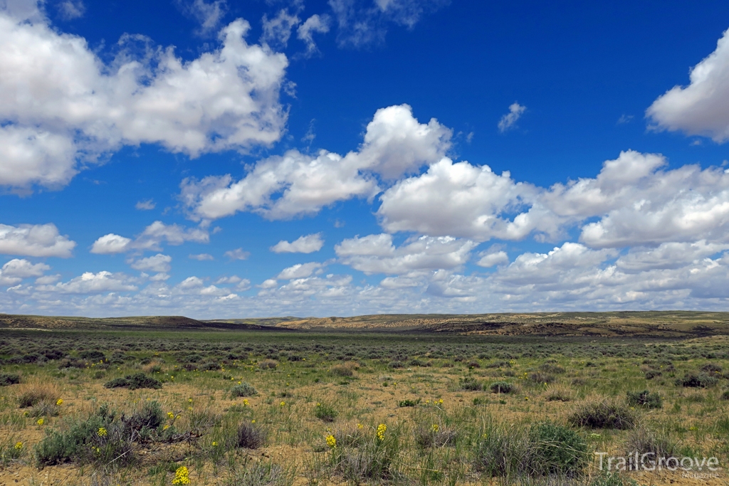 Wilderness Study Area